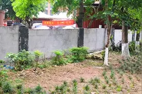 重庆两江新区金山街道：用心用情办实事 为民解忧“进行时”图片