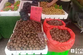 最低10.8元/千克 昆明新鲜核桃上市即降价图片