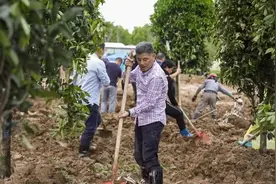 金华市建成首个“劳模工匠林”图片