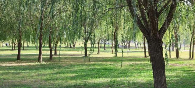 遇见丨开福·逛三园：我在「鸭嘴公园」好快乐鸭！