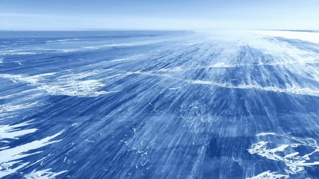 王炸！内蒙古“冰镇小龙虾”出道！