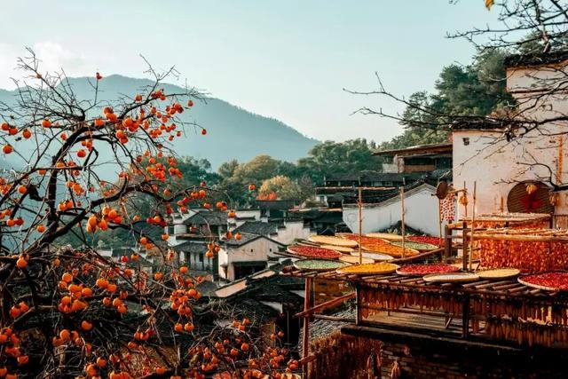 “秋假”第一站！上饶把最美的颜色，“晒”给你看