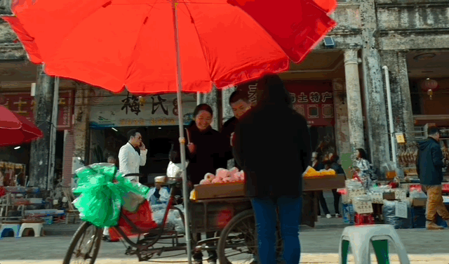 去粤港澳这篇就够了！最新指南→