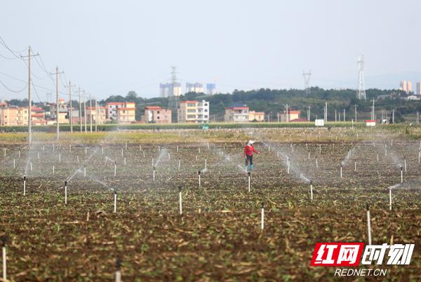 道县问道，来处与去处丨我们奔县吧·道县篇