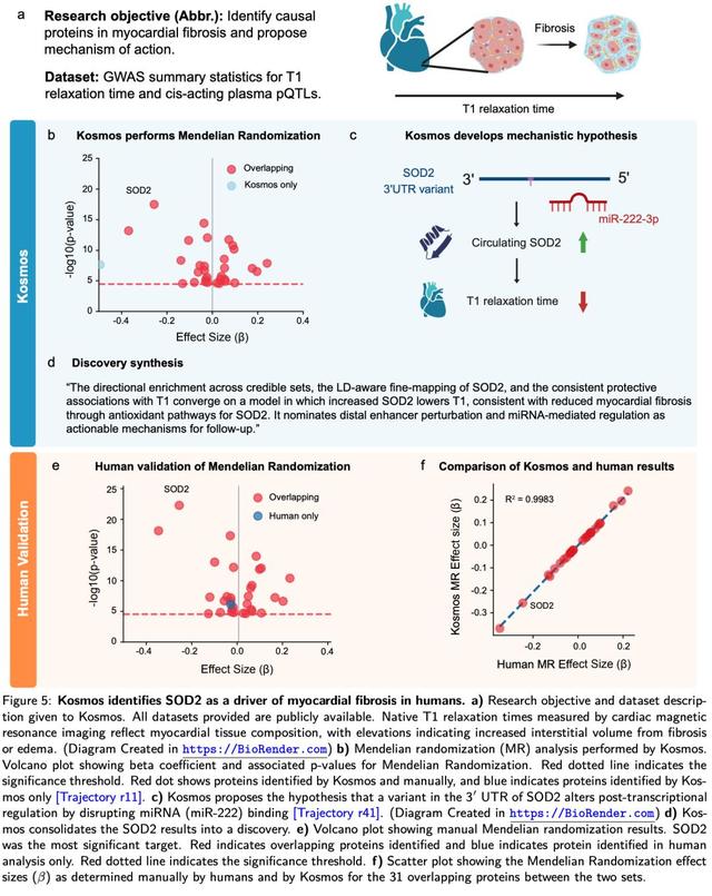 AI科学家登场，12小时抵人类科学家半年工作量，已有7项大成果