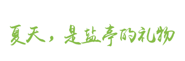 乐游绵阳 清凉一夏 ‖ 这“夏”，真藏不住了——八月盐亭的烟火与清凉