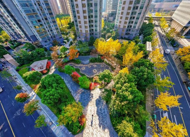 秋冬限定的普陀，美到让人流连忘返，你还不来打卡吗？