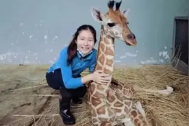 “00后”女孩剑桥毕业在上海当动物园饲养员，是“人才浪费”吗？图片