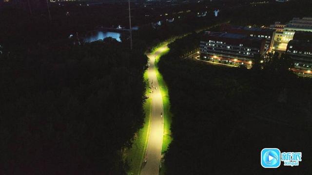 亮起来了！快来夜游北辰绿洲湿地公园