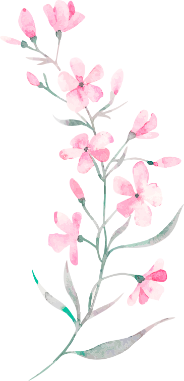 预告｜这个国庆，来空港花田逛幸福集市！