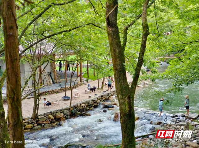 生态平江物华新③丨平江县探索“两山”转化“山水实践论”