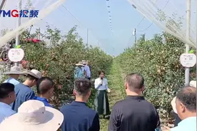 中国果业如何“轻装”快跑？烟台这场推进会给出答案图片