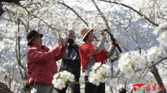 春暖，共赴花海