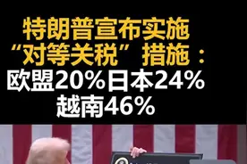 特朗普宣布实施“对等关税”措施：欧盟20%日本24%越南46%图片