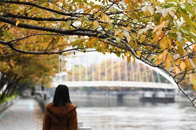 贵阳：初冬时节好风景