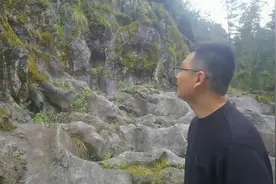 全国罕见 利川发现丰富古生物化石石林图片