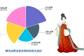Z世代新宠：小众&国潮，何以俘获年轻心？图片