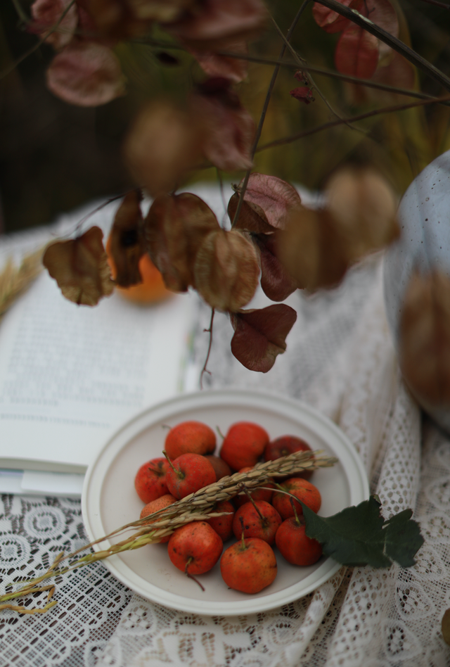 在苏家理想村，一场乡野游乐集正等你赴约