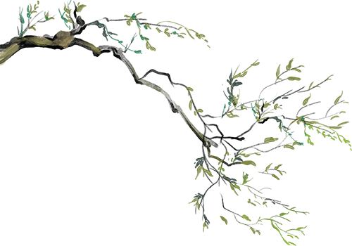 城厢古城观光巴士11月17日上线，巴适！