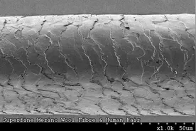洗完头后，自然风干好，还是吹干好？很多人都做错了图片