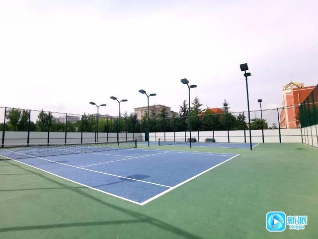 遛娃健身学知识！潍坊这个公园太“全能”
