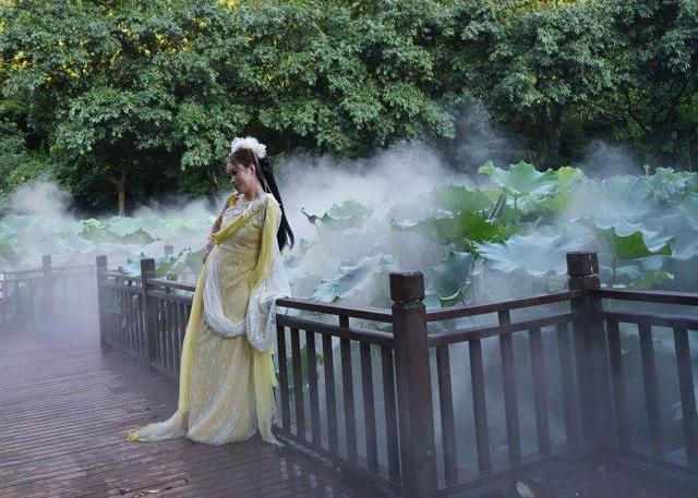 江北石门公园：雾森系统造清凉之境 荷花池畔“仙气”十足