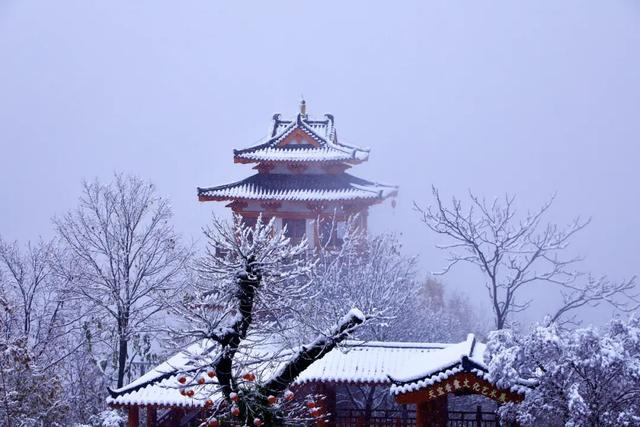等来了！白河入冬第一场雪，竟藏着这样的景致