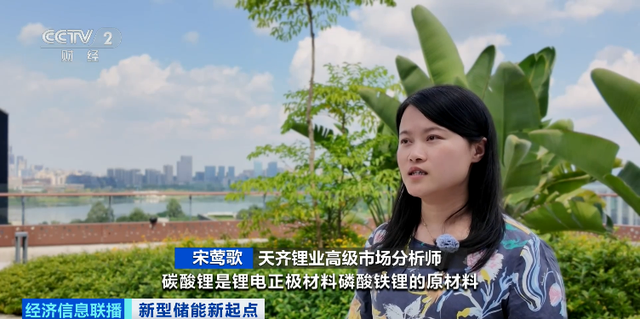 多家储能企业股价创新高