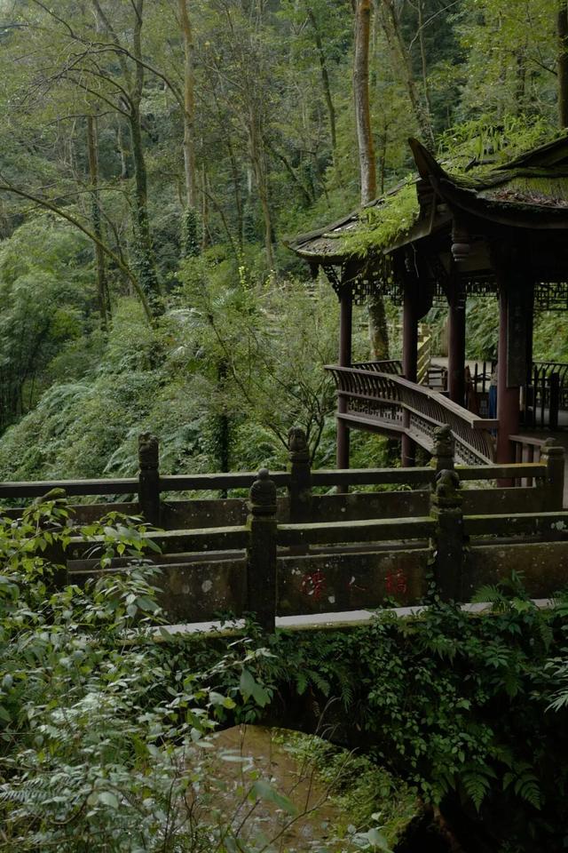 青城山｜与自然对话的日与夜。