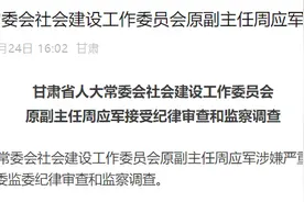 退休刚2个月，甘肃省人大常委会社会建设工作委员会原副主任周应军接受审查调查图片