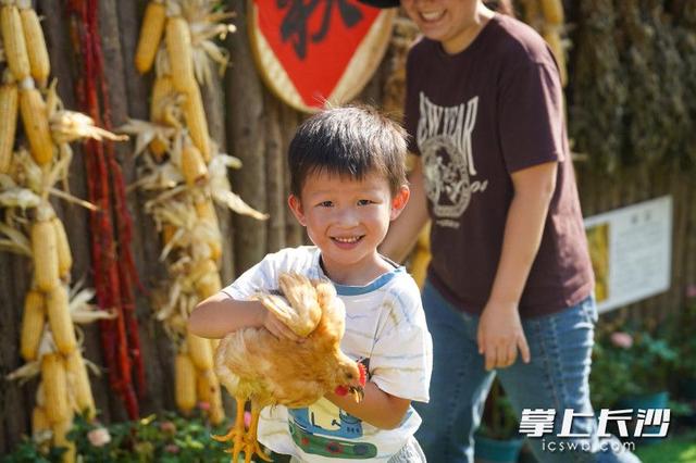 抓鸡摸鱼、彩虹滑道……长沙溪野花田解锁假期遛娃新玩法丨组图