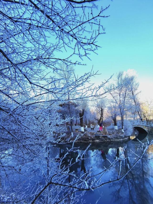 本溪水洞冬序：雾凇渡鸭，琴湖藏冬