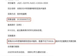 91.5万元打300头野猪，南京一企业中标后弃标，知情人：人手不够图片