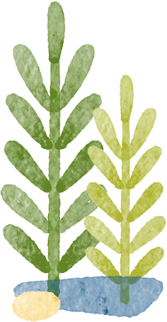 张坝桂圆林不一样了！观光车只需1元，还有惊喜等你开启→