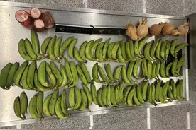 猴子请来的水果？黄花机场海关查获大量香蕉、椰子、木薯图片