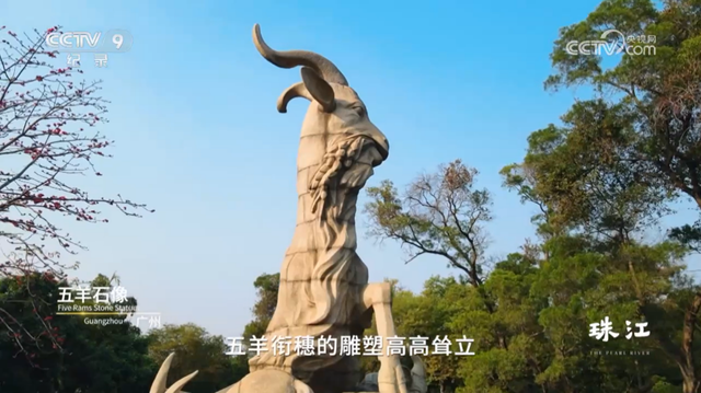 央视热播！就在身边，不少越秀街坊天天见