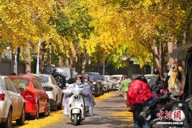长沙昔日静巷成网红打卡地 金黄银杏扮靓冬日