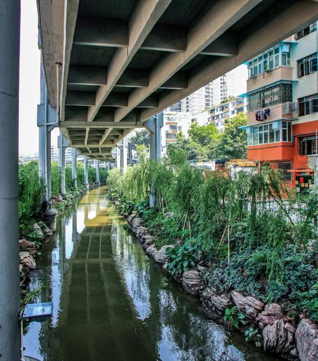 在东濠涌，赴一场与流水和清风的约会