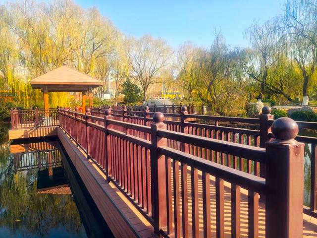 淄川这个公园“变身”完成！快来打卡！