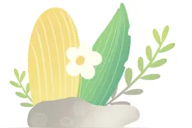 以案释法(70) | 保险理赔新案例——岳某诉保险公司损失赔偿案解析图片