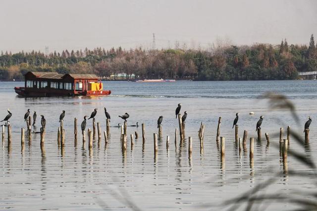 崇明这条生态研学路线，走起！