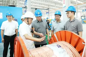 无锡市人大副主任、宜兴市委书记封晓春率队到宜宾远东产业园调研参访图片