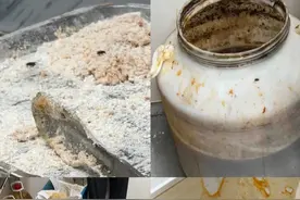 “鸡腿生蛆”风波中的正新鸡排：曾被曝苍蝇爬裹粉、老鼠出没图片