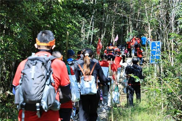 2025南酸枣之乡旅游音乐文化节暨齐云山登山节火热招募中