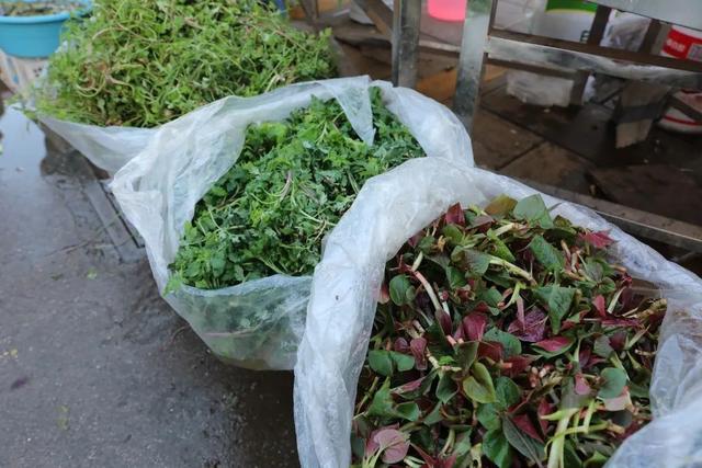 罗平“春味”正鲜，错过再等一年