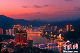 “以侨为桥” 侨乡浙江青田越洋招商引资忙图片