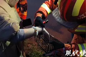手卡筷架、头困凳子，女孩两个月不到两次被卡图片
