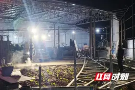 桃江县大栗港镇依法拆除1处违法占用耕地建筑图片