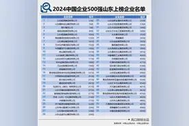 2024中国企业500强：反超广东，拿下全国第二，山东凭什么？图片