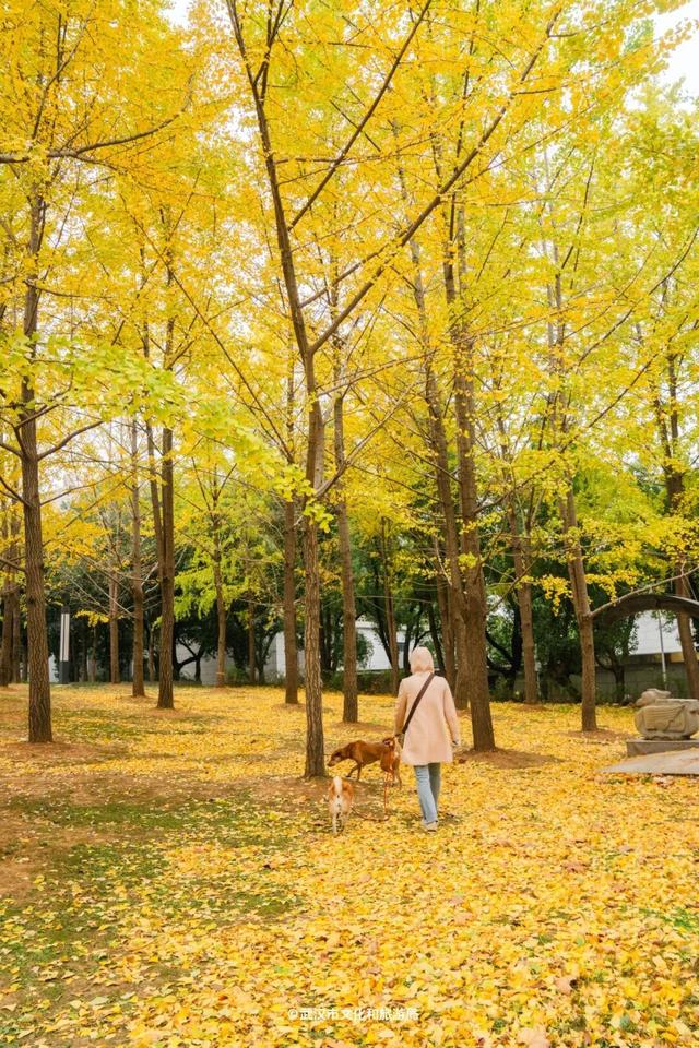 武汉的风有多大？我是被“推”来上班的！